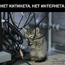 ���� ������, ��������, 39 ��� - ��������� 3 ������� 2019