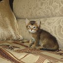  ,  -  16  2019      2019