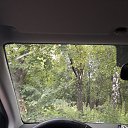 ���� ����, ������, 39 ��� - ��������� 3 ���� 2019