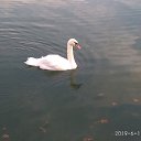 ���� Hellen, �����, 31 ��� - ��������� 11 ���� 2019 � ������ ���� ����������