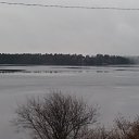 ���� Nik, ������������, 56 ��� - ��������� 31 ������� 2019 � ������ ���� ����������