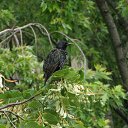 ���� ����, ���� - ��������� 9 ������� 2019 � ������ ���� ����������