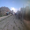 ������ �� ������� ���� ����������