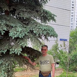 ���� ��������, ������, 66 ��� - ��������� 7 ���� 2019