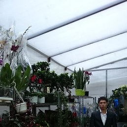 Eldorjon, �������, 35 ���