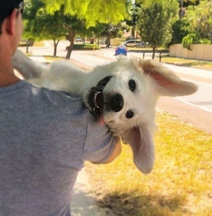 ���o�� � ������ �o���p���� :3 - 7