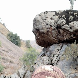 ����������, �������, 35 ���