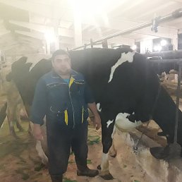 �����, �����-���������, 53 ����