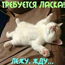 ���� �������, �����, 51 ��� - ��������� 27 ������� 2019