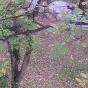���� Alex, �������, 55 ��� - ��������� 12 ������� 2019 � ������ ������ ��������