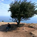 ���� ����, ����, 55 ��� - ��������� 8 ������ 2019 � ������ ���� ����������