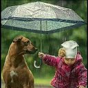 ���� ��������, ���������, 55 ��� - ��������� 15 ������� 2019 � ������ ������ ��������