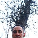 ���� ����, ���������, 49 ��� - ��������� 8 ������� 2019 � ������ ���� ����������