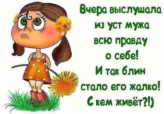 ☆ ☆ - 3  2019  03:47