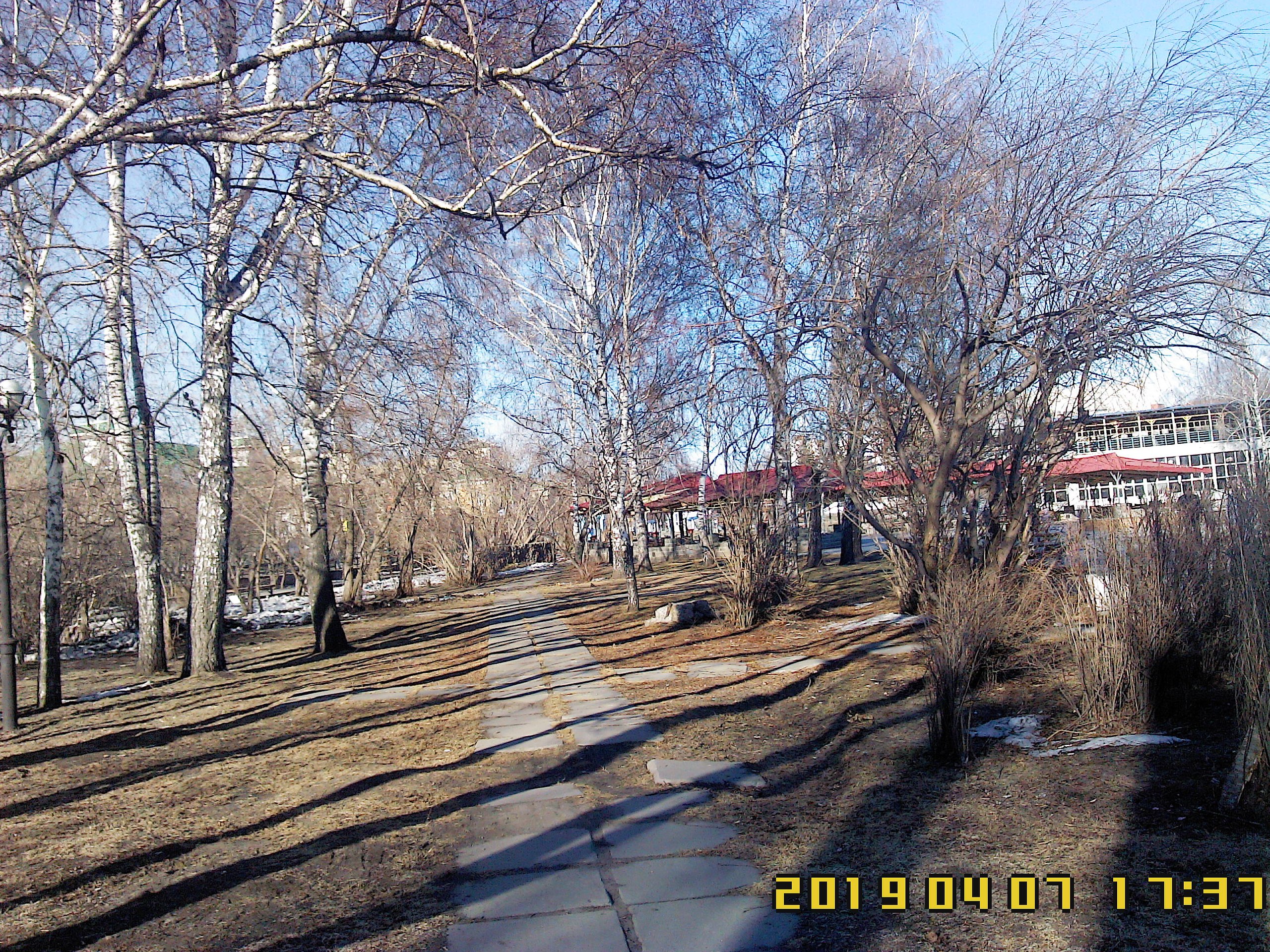  - 7  2019  19:36 - 6