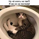 ���� �����, ������ - ��������� 9 ������� 2019 � ������ ������ ��������