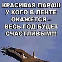 ���� �������, ���� - ��������� 25 ���� 2019 � ������ ������ ��������