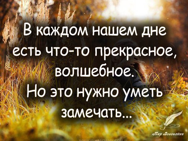 ��� - 26 ���� 2019 � 20:37