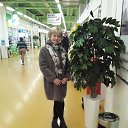 ���� ��������, ��������� - ��������� 1 ������� 2019 � ������ ���� ����������