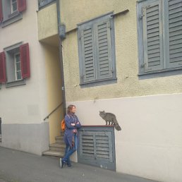 �������, �������, 44 ����