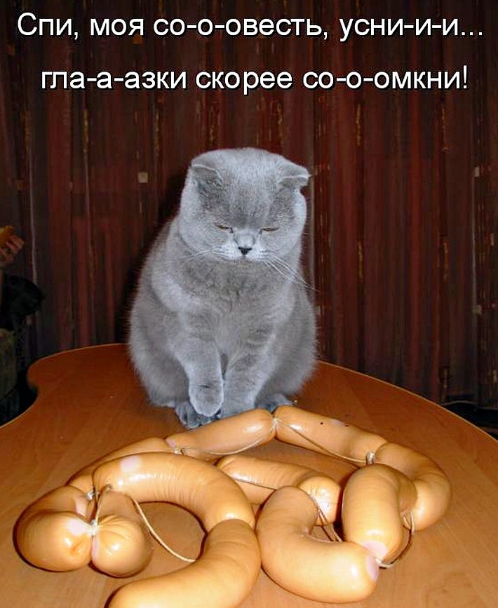   ! - 8  2019  12:55