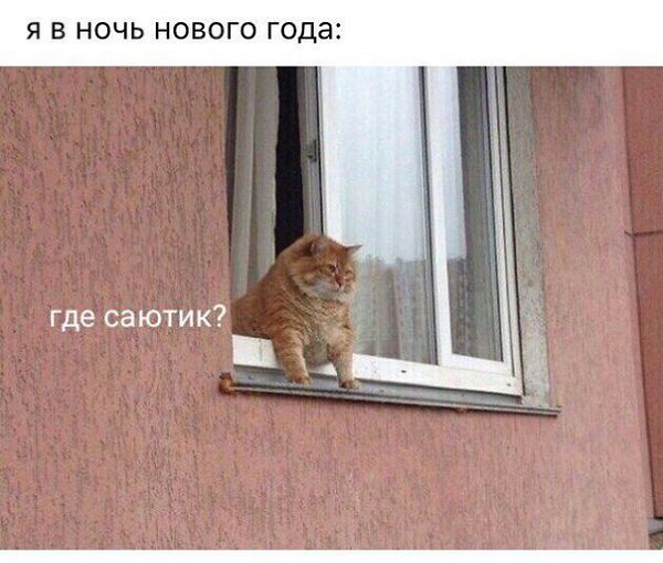    - 31  2019  18:53