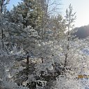 ���� ������, ��������� - ��������� 15 ������� 2019 � ������ ���� ����������