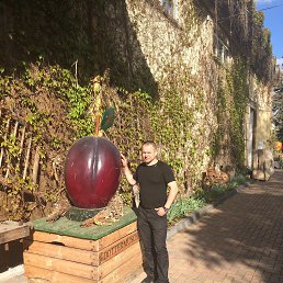 Vasil, �������