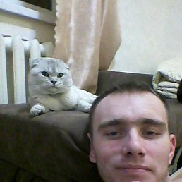 ����, ��������, 33 ����