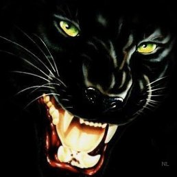 �����, �����������, 44 ����