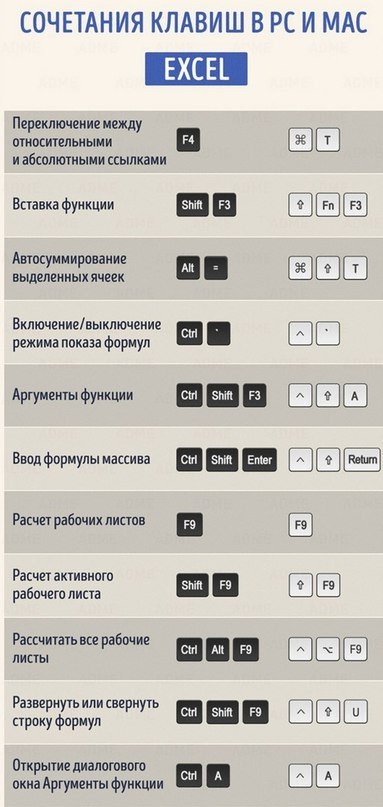 , oo  e  MS Office. oxa   ! - 2