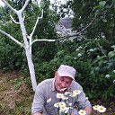 ���� ���������, ������, 50 ��� - ��������� 14 ���� 2019 � ������ ���� ����������