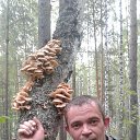 ���� �����, ���������, 49 ��� - ��������� 17 �������� 2019 � ������ ���� ����������