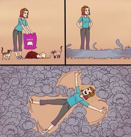  ,     :