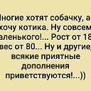 ���� �������, �����������, 49 ��� - ��������� 10 ������ 2019 � ������ ���� ����������