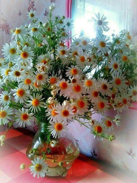  ...    10,  11- ,  "" - 14- ,   ...