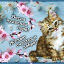 ���� �������, ��������� - ��������� 28 ��� 2019 � ������ ���� ����������