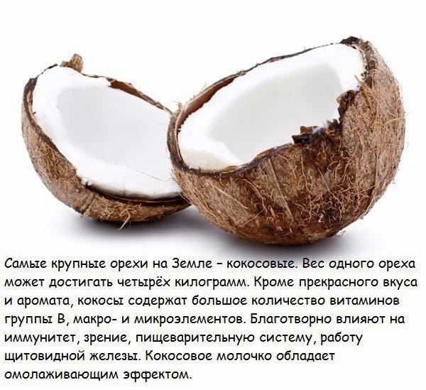        - 3