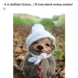 ���� �����, �����-��������� - ��������� 24 ������� 2019