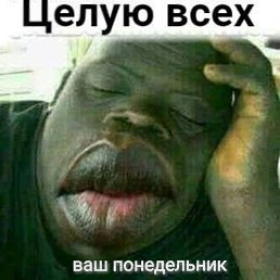 Ziber, ������, 38 ���