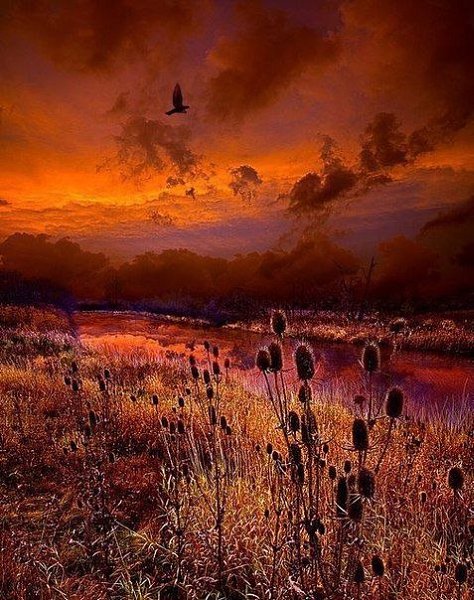 Art & Fun - 5 ������ 2019 � 18:51 - 2