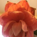 ���� ����, �����������, 50 ��� - ��������� 7 ������� 2019 � ������ ������ ��������