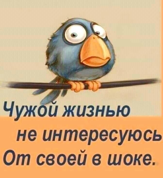   ,    . - 22  2019  19:09