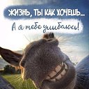 ���� �������, �����-��������� - ��������� 11 ���� 2019 � ������ ���� ����������