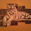 ���� ��������, ������������, 54 ���� - ��������� 4 ������� 2019 � ������ ���� ����������