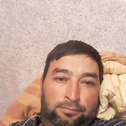 ��������, �����������, 46 ���