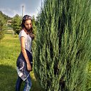 ���� ����, ����� - ��������� 6 ������� 2019 � ������ ���� ����������