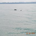 ���� Aru, �������� - ��������� 29 ������ 2019 � ������ �Goa, India�