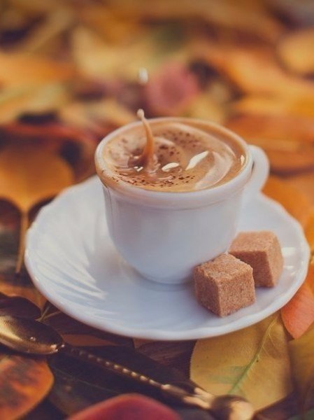   ,   ,  ,   . #@llcoffee # ... - 3