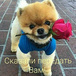 ���� ����������, ��������, 30 ��� - ��������� 6 ������ 2019